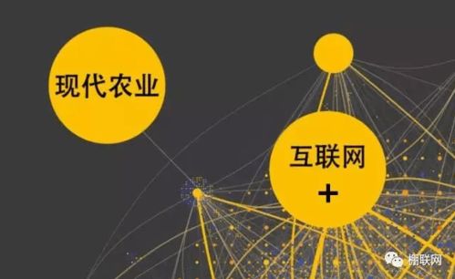 农产品网络销售的困境与挑战